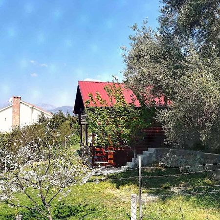 הוילה טיווט Timber House מראה חיצוני תמונה